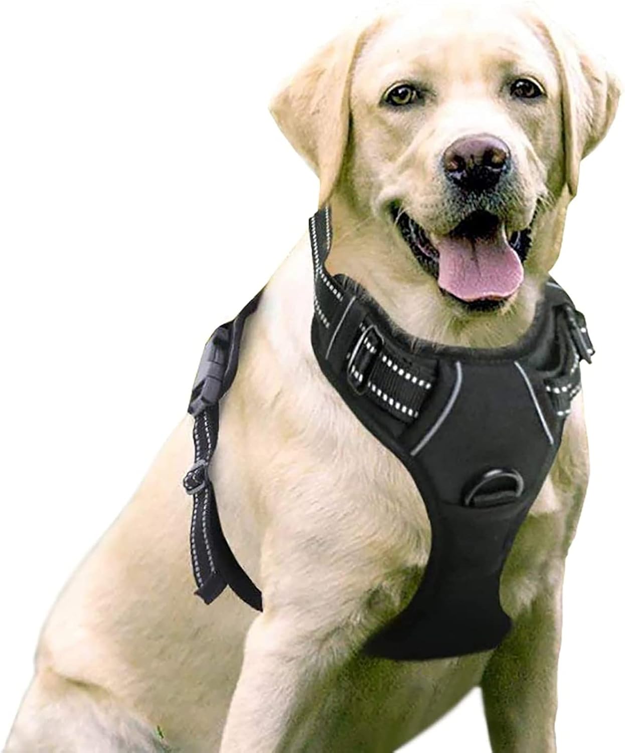 Harnais Chien Rabbitgoo No Pull – Promenades Agréables sans Traction